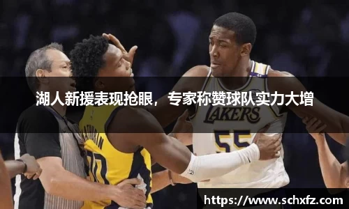 湖人新援表现抢眼，专家称赞球队实力大增