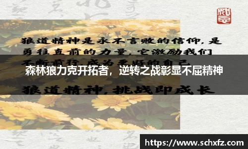 森林狼力克开拓者，逆转之战彰显不屈精神