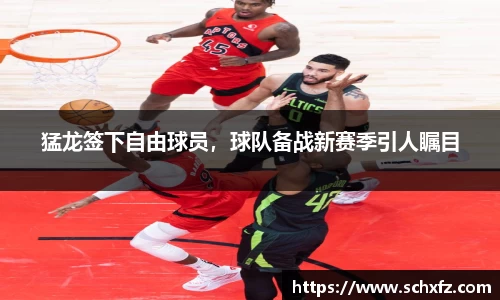 猛龙签下自由球员，球队备战新赛季引人瞩目