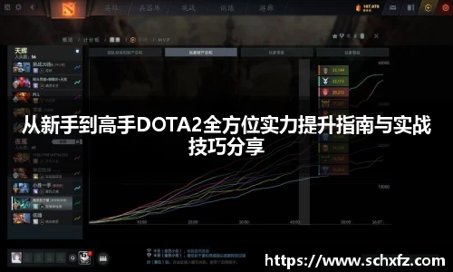 从新手到高手DOTA2全方位实力提升指南与实战技巧分享