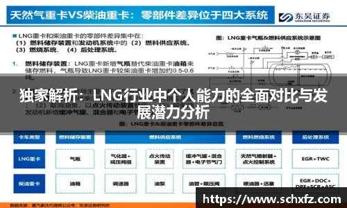 独家解析：LNG行业中个人能力的全面对比与发展潜力分析