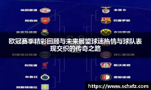 欧冠赛季精彩回顾与未来展望球迷热情与球队表现交织的传奇之路