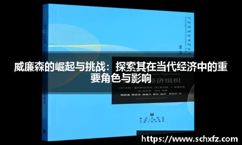 威廉森的崛起与挑战：探索其在当代经济中的重要角色与影响