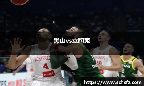黑山vs立陶宛