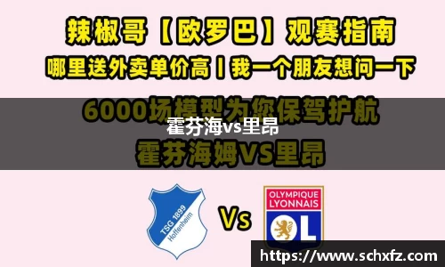 霍芬海vs里昂