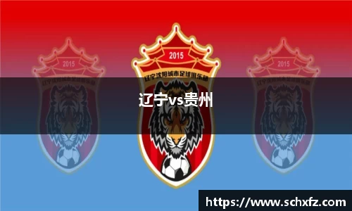 辽宁vs贵州