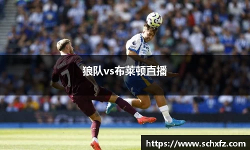 狼队vs布莱顿直播