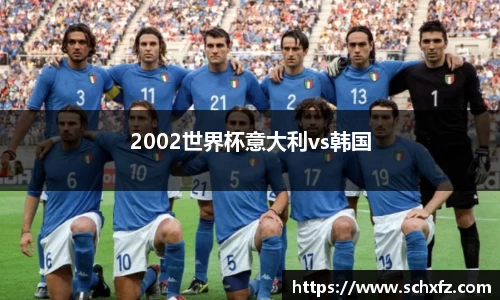 2002世界杯意大利vs韩国