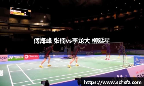 傅海峰 张楠vs李龙大 柳延星
