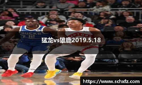 猛龙vs雄鹿2019.5.18