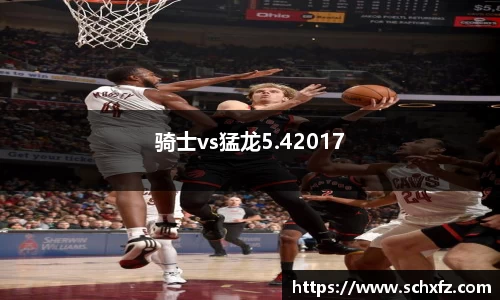 骑士vs猛龙5.42017