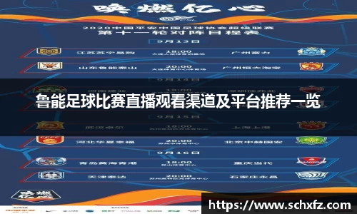 鲁能足球比赛直播观看渠道及平台推荐一览