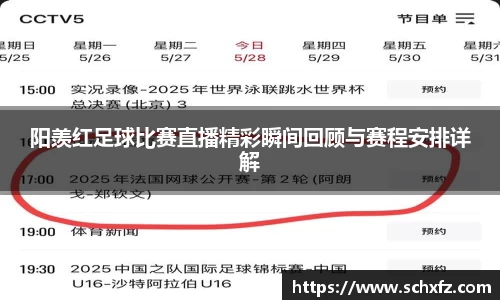 阳羡红足球比赛直播精彩瞬间回顾与赛程安排详解