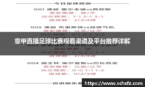 意甲直播足球比赛观看渠道及平台推荐详解