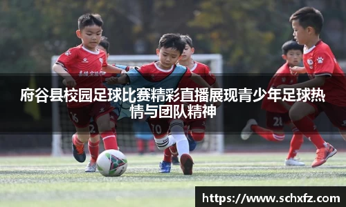 K8凯发下载