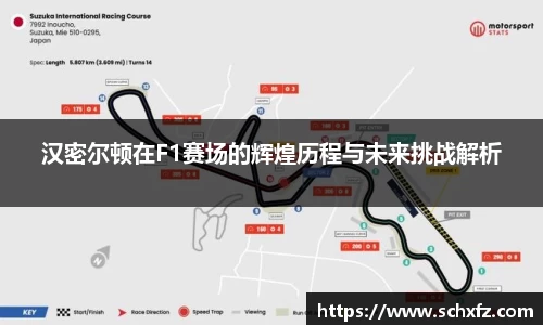 汉密尔顿在F1赛场的辉煌历程与未来挑战解析