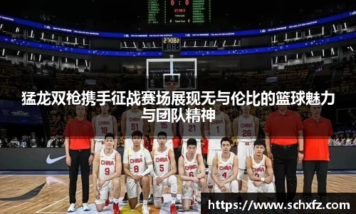 猛龙双枪携手征战赛场展现无与伦比的篮球魅力与团队精神