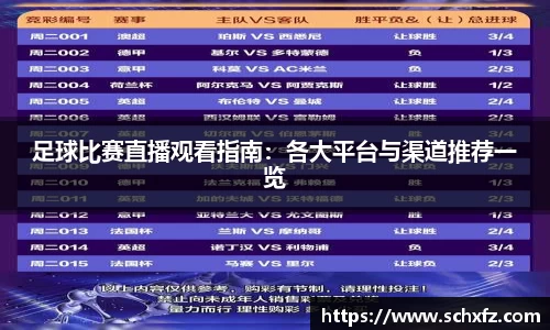 足球比赛直播观看指南：各大平台与渠道推荐一览